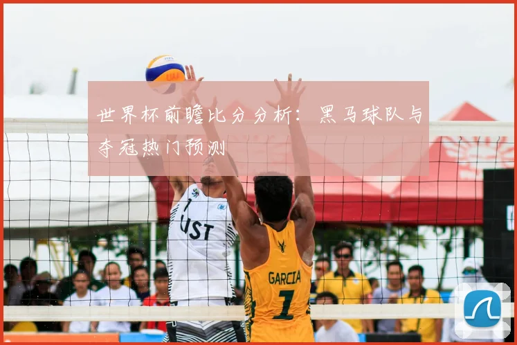 世界杯前瞻比分分析：黑马球队与夺冠热门预测