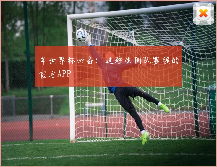年世界杯必备：追踪法国队赛程的官方APP
